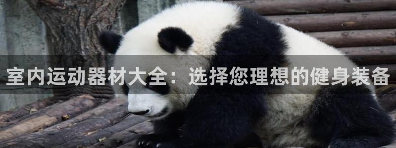 意昂4娱乐是那个系列的台子:室内运动器材大全:选择您理想的健