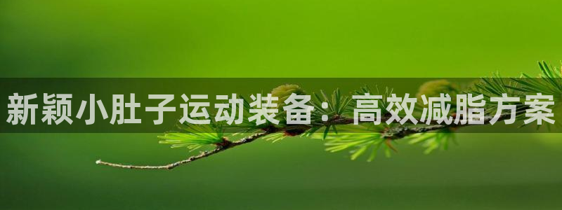意昂体育4注册:新颖小肚子运动装备:高效减脂方案