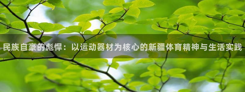 意昂体育4招商电话号码:民族自豪的彪悍:以运动器材为核心的新
